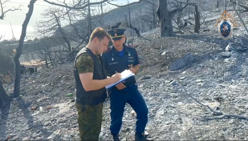 Уголовное дело о халатности возбудили в связи с пожаром под Новороссийском